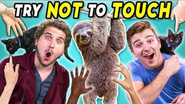Video Try Not To Touch Challenge (ft. Sid The Sloth!)   türkçe