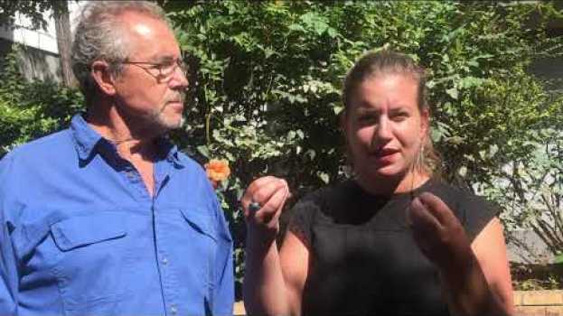 Video Nous demandons l'annulation des amendes et le rétablissement des guichets à Châtel-Censoir ! su italiano