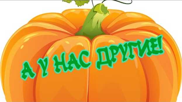 Video УРОЖАЙ ТЫКВЫ. АЖ 3 ШТУКИ, НО БОЛЬШИЕ./UNUSUAL PUMPKIN CROP   türkçe