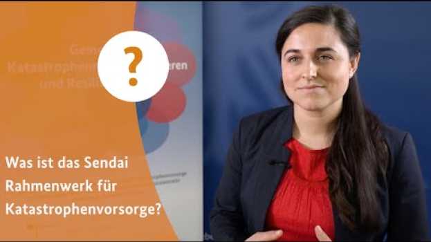 Video 3 Fragen an die Nationale Kontaktstelle für das Sendai Rahmenwerk in English
