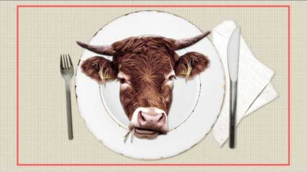 Video Carbone | Du boeuf carboneutre, c'est possible? su italiano