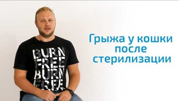 Video Грыжа у кошки после стерилизации in English
