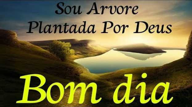 Video Mensagem de Bom Dia /Você é Uma  Árvore Plantada Por Deus(Reflexão) po polsku