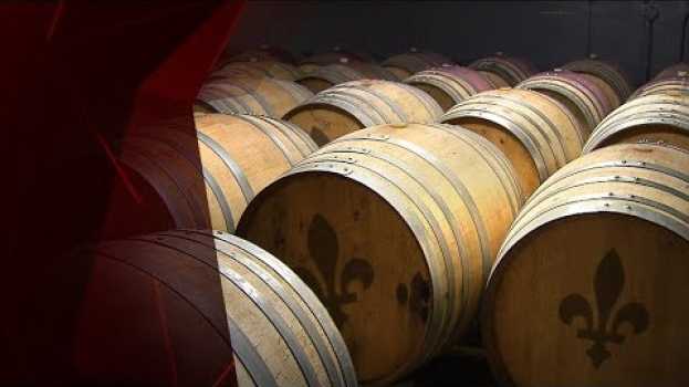 Видео Les vins québécois ont la cote на русском