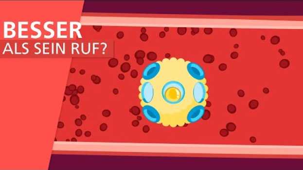Video Was ist Cholesterin und was macht es in unserem Körper? | Stiftung Gesundheitswissen in English