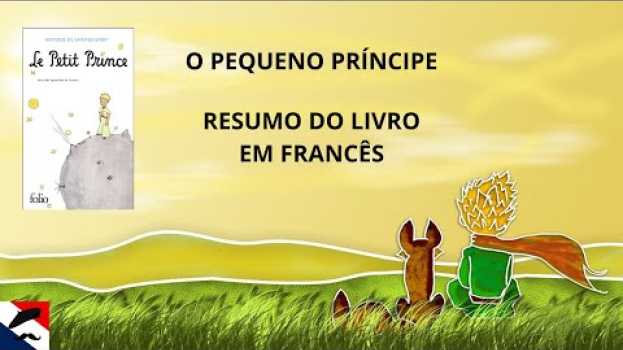 Video Resumo do Pequeno Príncipe em francês - Le Petit Prince - podcast em francês   türkçe