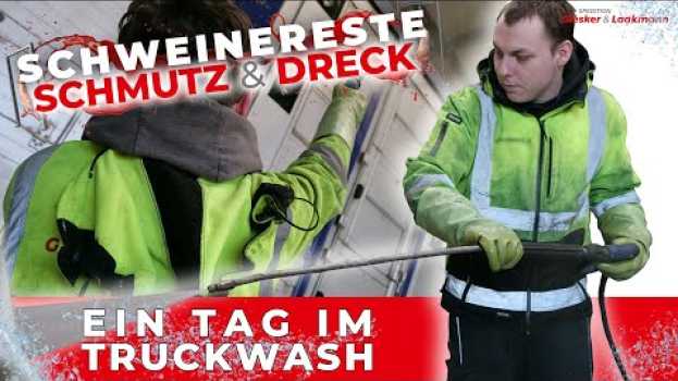 Video Schweinereste, Dreck und Schmutz - Ein Tag im Truckwash su italiano