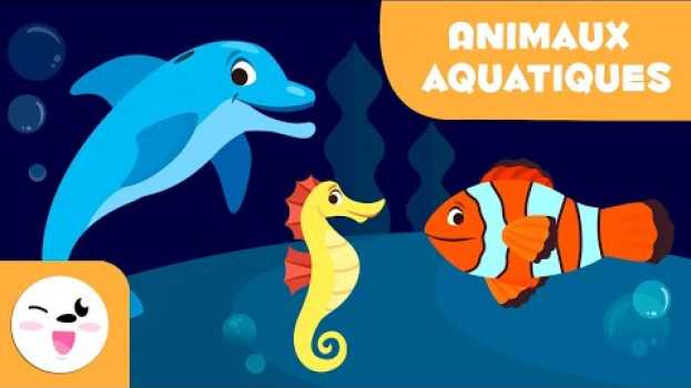 Video Les animaux aquatiques pour enfants-Vocabulaire pour les enfants po polsku