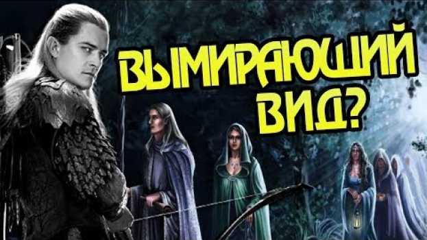 Video Почему в Средиземье Так Мало Эльфов? po polsku