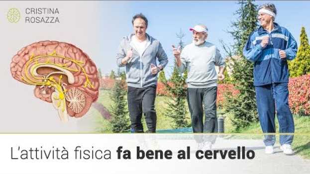 Video L'attività fisica fa bene al cervello - Pillola #10 in English