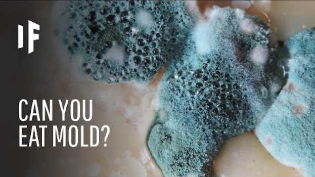 Video What Happens If You Eat Mold? auf Deutsch