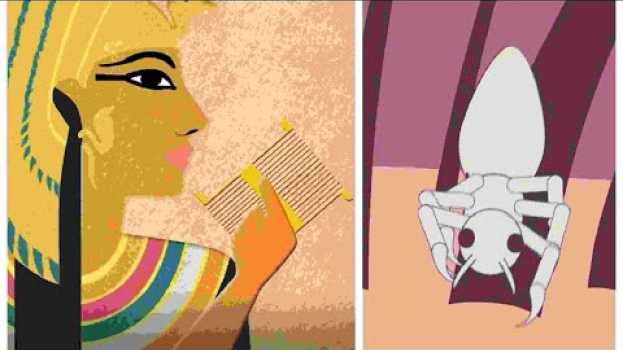 Video Dagli incubi di Cleopatra ad oggi: perchè i pidocchi resistono a tutto e tutti | Insider Italiano en español
