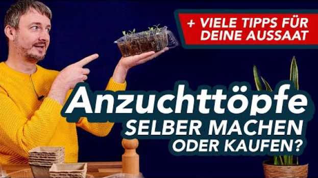 Video 8 Tipps: Anzuchttöpfe selber machen oder kaufen? Worin lassen sich Jungpflanzen am besten vorziehen? po polsku