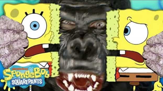 Video Why "I Had an Accident" is a LEGENDARY Episode of SpongeBob 😷 auf Deutsch