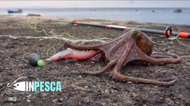 Video Pesca del POLPO dalla scogliera | Con le totanare modificate 🐙 auf Deutsch