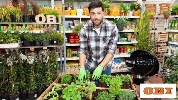 Video Come coltivare un orto aromatico em português