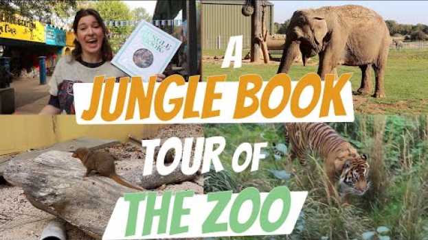 Video A Jungle Book Tour of the Zoo | #BookBreak en français