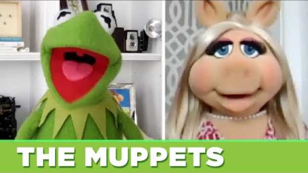 Video The Muppets Find Out Which Muppet They Really Are po polsku