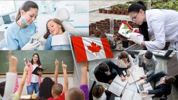Video 10 Carreras Universitarias Mejor Pagadas En Canadá 2023 🤑 po polsku
