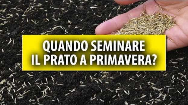 Video Quando Seminare il Prato a Primavera? La Luna influisce?  - IL METODO BESTPRATO en español