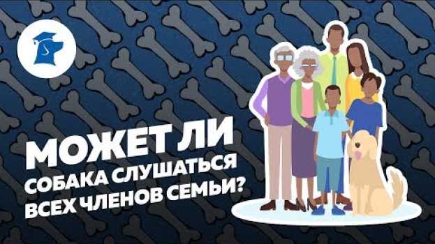 Video Семья заводит собаку. Может ли собака слушаться всех членов семьи? em português