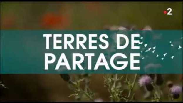 Video [TERRES DE PARTAGE] Les paysages sont l’affaire de tous | Les Céréales in English