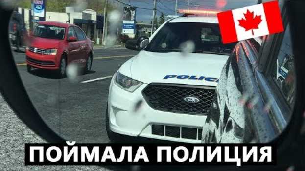 Video Попал в канадский суд в роли обвиняемого! Наказали меня или нет? su italiano