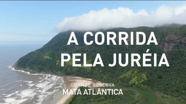 Video Histórias da Grande Reserva Mata Atlântica | T2EP07 - A corrida pela Juréia su italiano