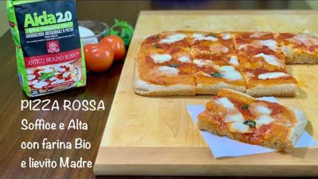 Video PIZZA ROSSA SOFFICE E ALTA con farina bio e lievito madre po polsku