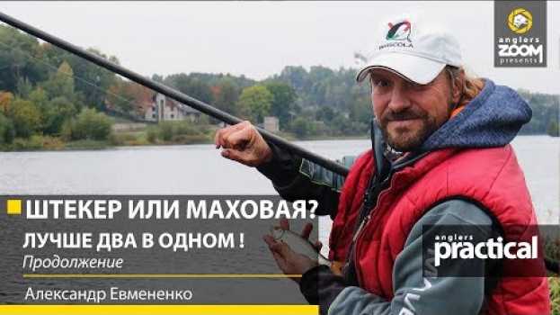 Video Штекер или Маховая? Лучше два в одном! Александр Евмененко. Продолжение. Anglers Practical en español