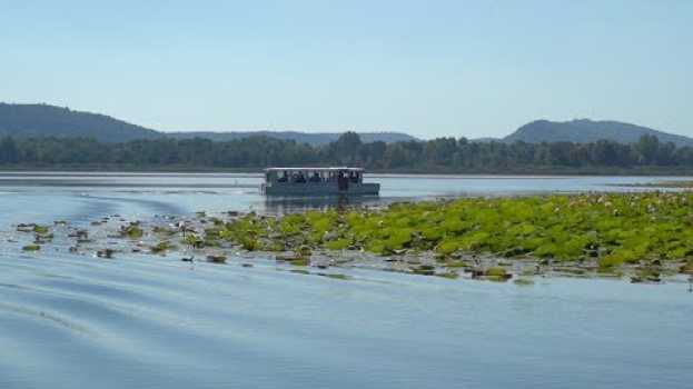 Video Alla scoperta delle palafitte del Lago di Varese po polsku