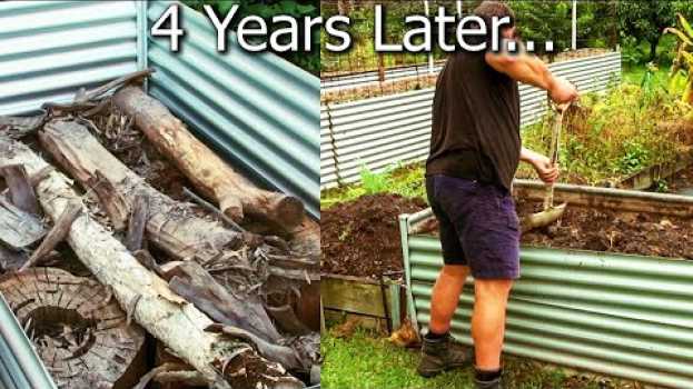 Video What Happens When You Bury Logs in the Veggie Garden Raised Bed? em português