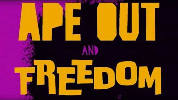 Video APE OUT and FREEDOM en français