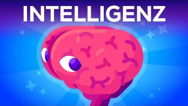 Video Was ist Intelligenz?   türkçe