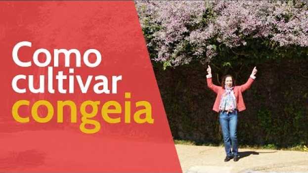 Video Como Cultivar Congeia | Nô Figueiredo po polsku