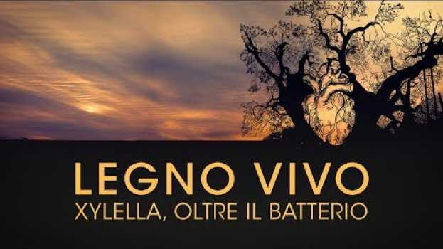 Видео LEGNO VIVO. XYLELLA, OLTRE IL BATTERIO - TRAILER ITA | documentario на русском