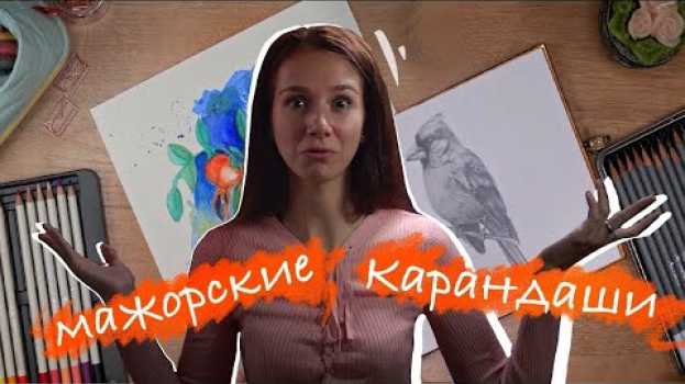 Video ОБЗОР акварельных и графитовых карандашей от Winsor&Newton   türkçe