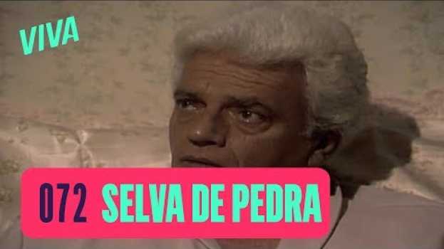 Video SEBASTIÃO E BERENICE VISITAM ARISTIDES | SELVA DE PEDRA | CAPÍTULO 072 | MELHOR DO DIA | VIVA   türkçe