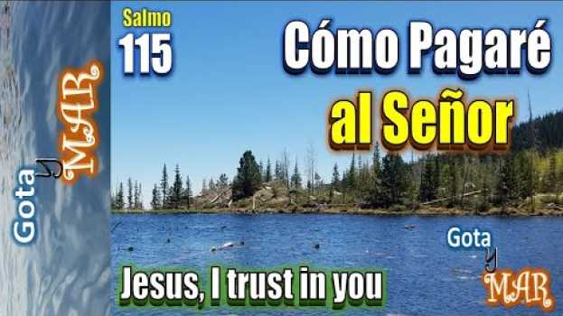 Video SALMO 115 ¿COMO PAGARE AL SEÑOR TODO EL BIEN QUE ME HA HECHO? po polsku