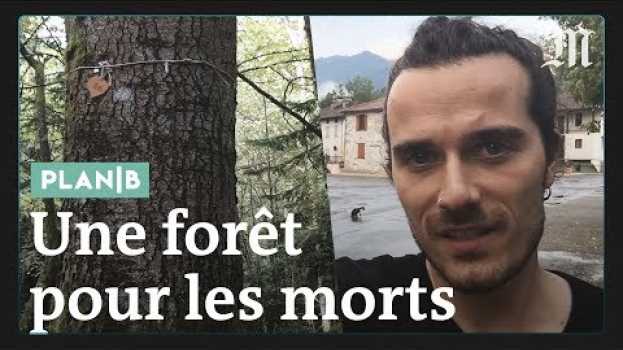 Видео Cette forêt rendrait la mort plus écologique : on l'a visitée #PlanB на русском