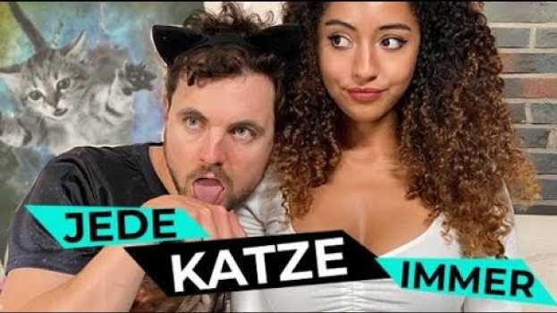 Video Jede KATZE immer | Phil Laude po polsku