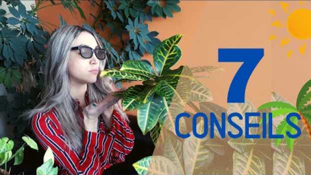 Video 7 conseils INCROYABLES pour trouver ta job d'été ! em português