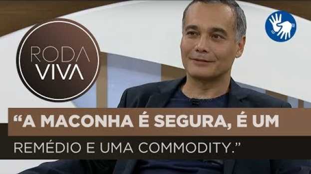 Video Sidarta Ribeiro fala sobre o uso da maconha medicinal po polsku