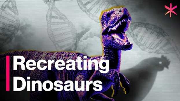 Video Should We Turn Chickens into Dinosaurs?   türkçe