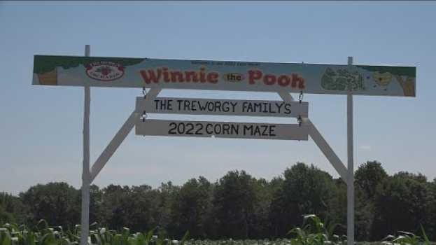 Video Treworgy Family Orchards unveils 2022 corn maze design auf Deutsch