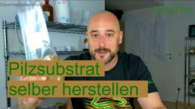Video Pilzsubstrat selber herstellen - Schritt für Schritt Anleitung, einfach selber machen su italiano