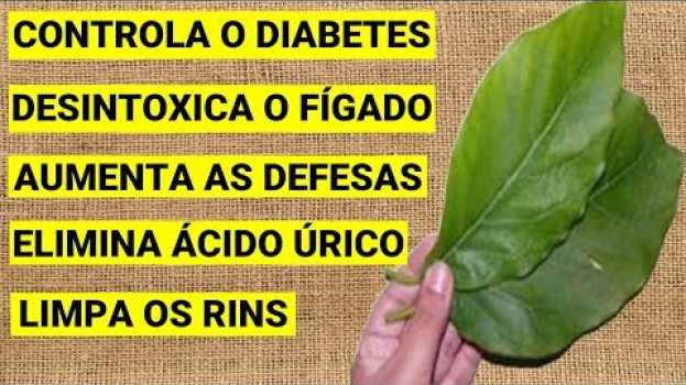Video Você Tem Essa PLANTA Em Casa? CUIDE BEM DELA! Você Tem Um TESOURO e Não Sabe   türkçe
