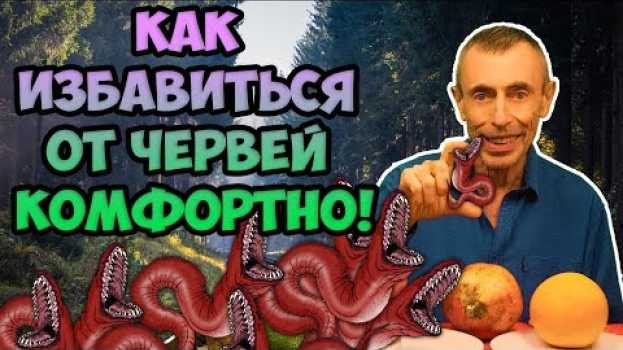 Video КАК ИЗБАВИТЬСЯ ОТ ЧЕРВЕЙ КОМФОРТНЫМ МЕТОДОМ! Фильм- 1. Виталий Островский  Паразиты, глисты po polsku