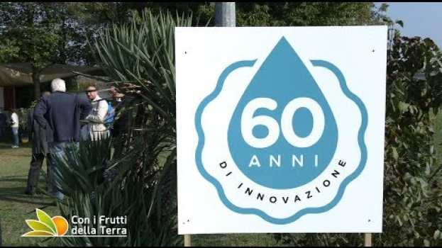Video CER: 60 anni di ricerca en français