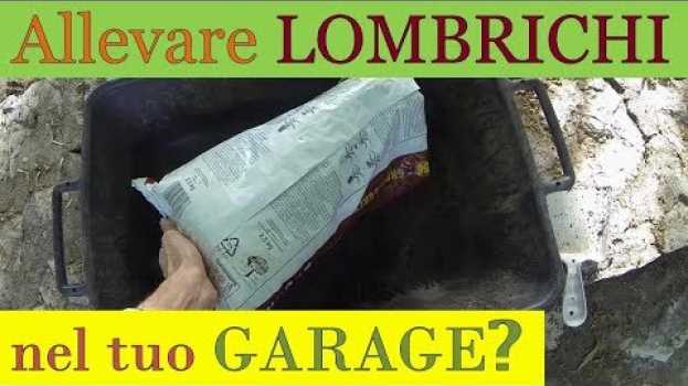 Video Mettere i lombrichi nel sacco!! en español